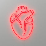 cuore anatomico neon